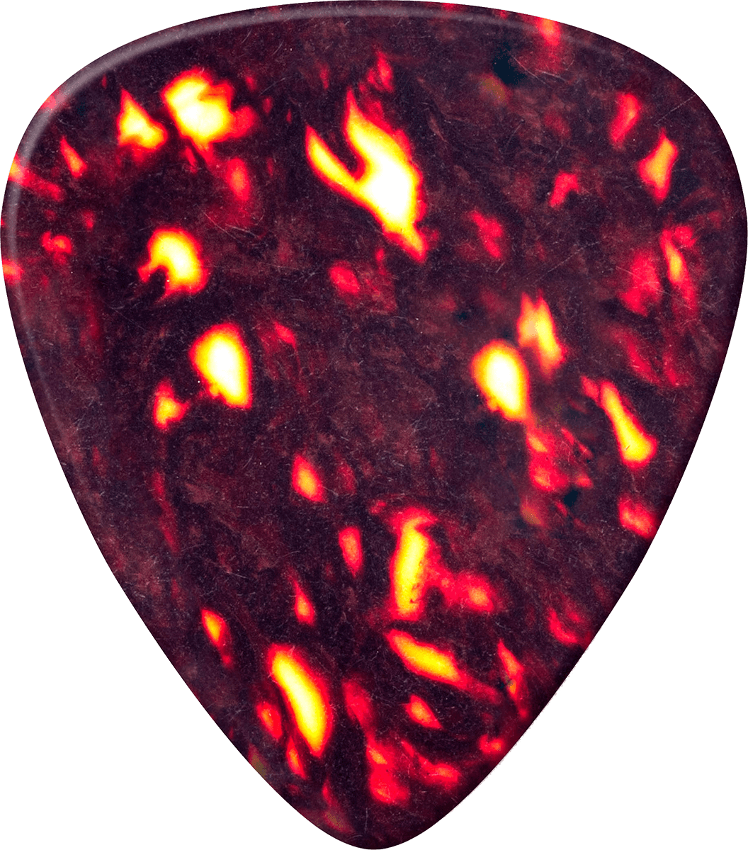 12 x Celluloide autentica tartaruga spessa