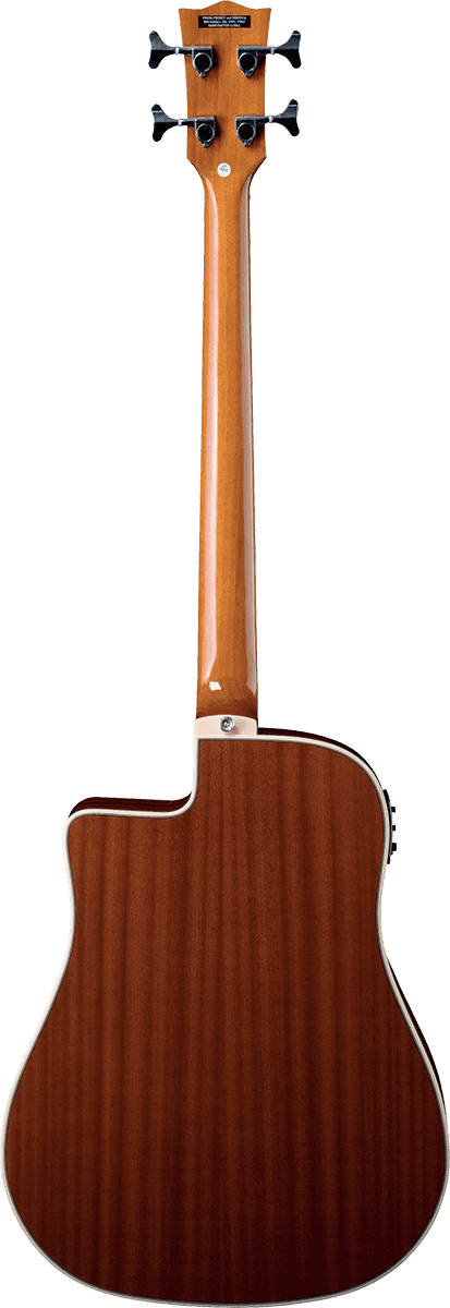 NXT B100ce Dreadnought Naturale