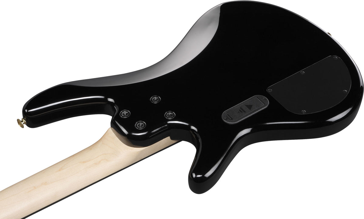 GSR205PCTPB Sfumato nero pallido trasparente