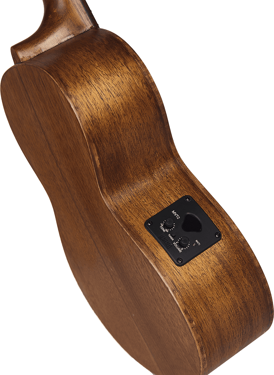 Baritono Naturale Elettrico + Custodia