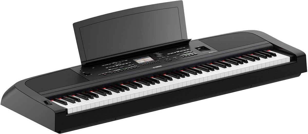 DGX-670 Nero