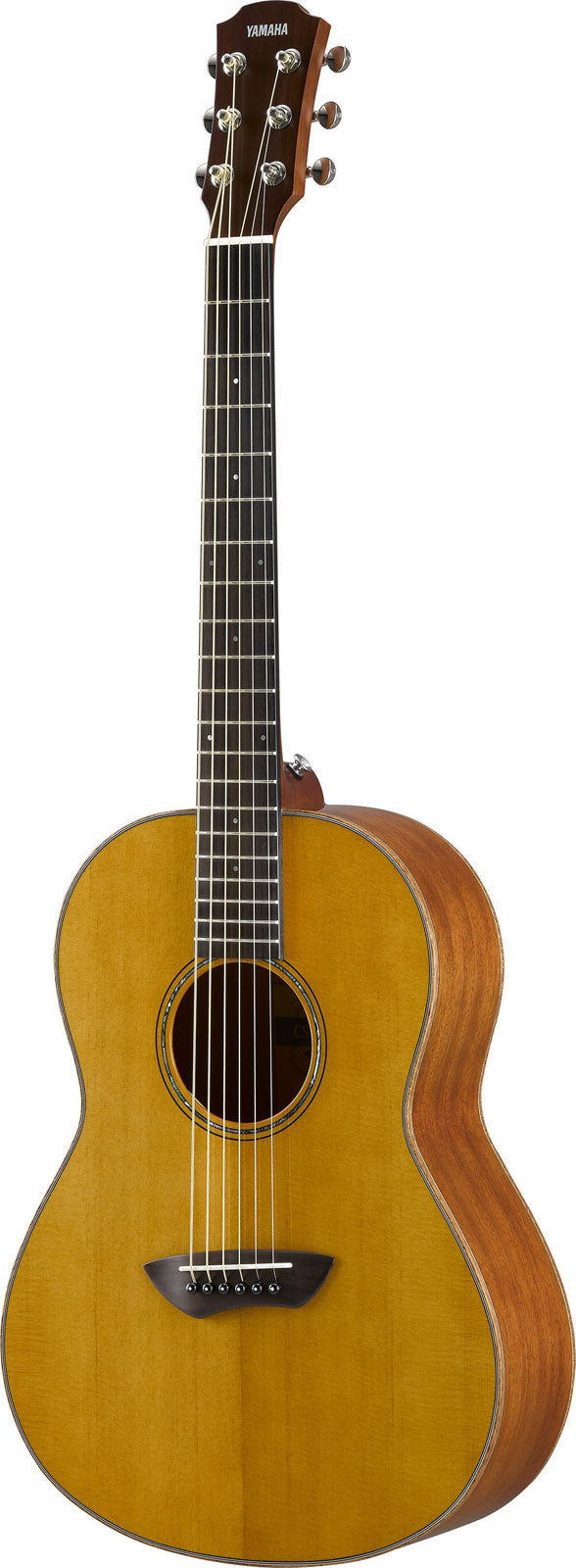 Csf3Mvn Naturale