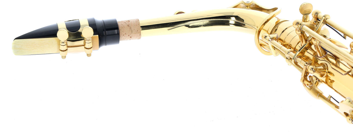 WSA100 - Contralto Mib verniciato