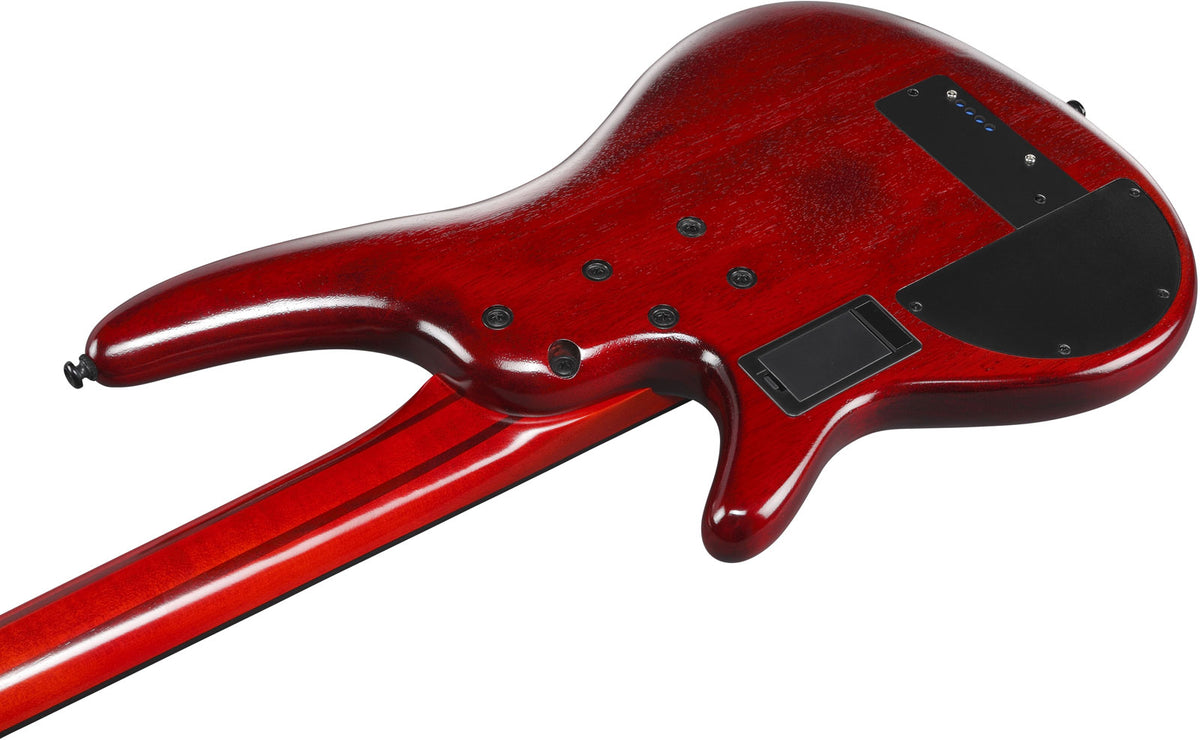 SRD900F-BTL Burst marrone topazio Bass Workshop