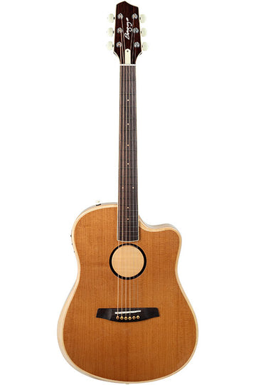 Aeg-1 Torrefatto