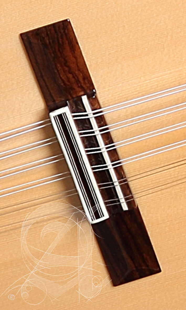 Conservatory L-6Fc Lutes + 9534 Gigbag