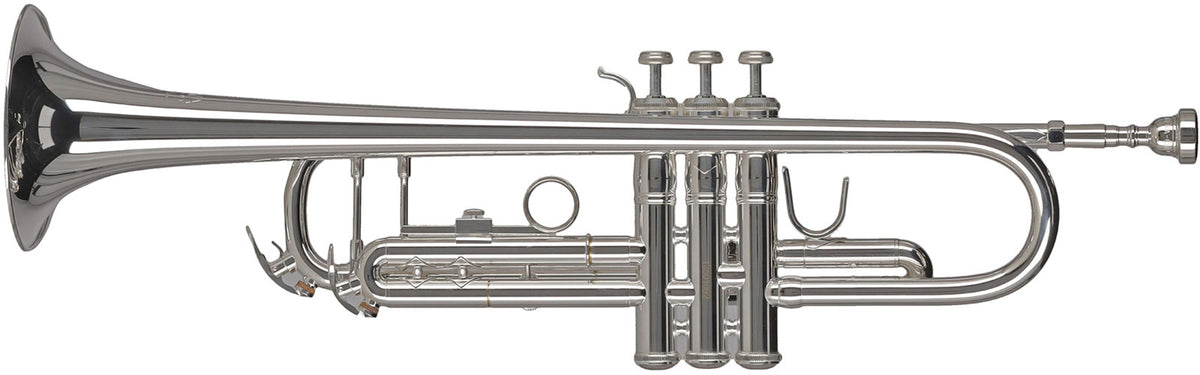 Ambition TR501S Sib Argentata
