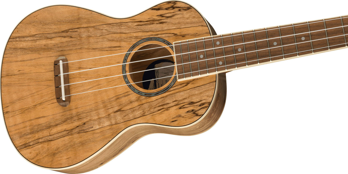 Zuma Uke Esotico Concerto Wn Spalted Maple