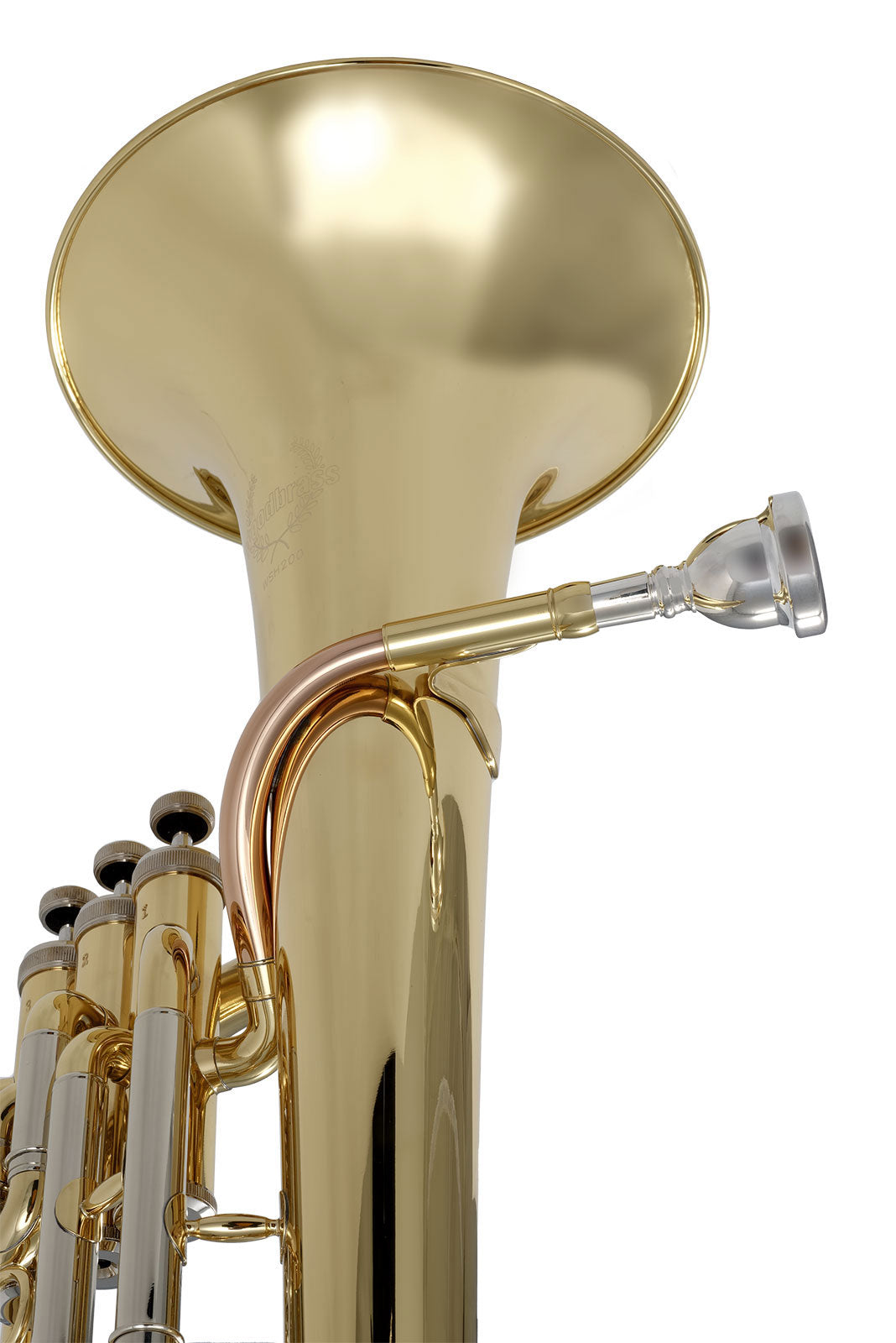 WSH200 - Sib verniciato