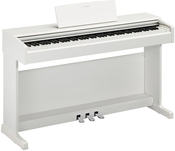 Arius YDP-105 Bianco