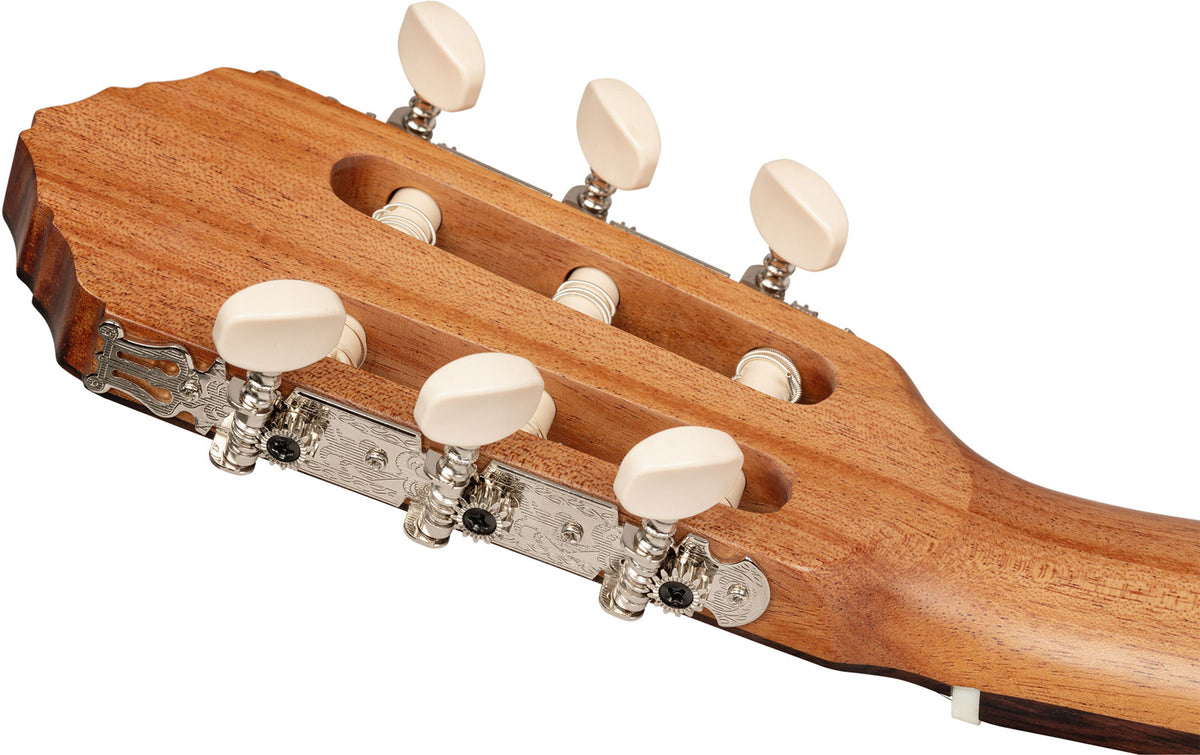 Traditional 4/4 + custodia morbida Pro