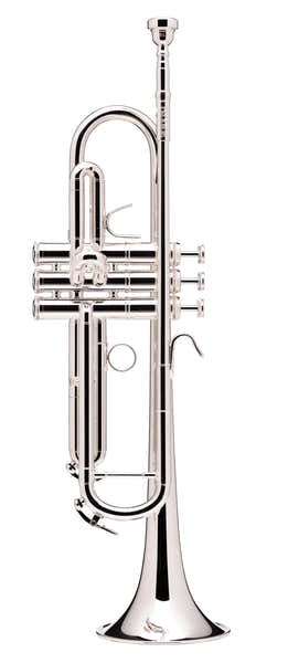 B&S Prodige Sib Argentata (Canneggio Inverso) - BS210LR-2-0