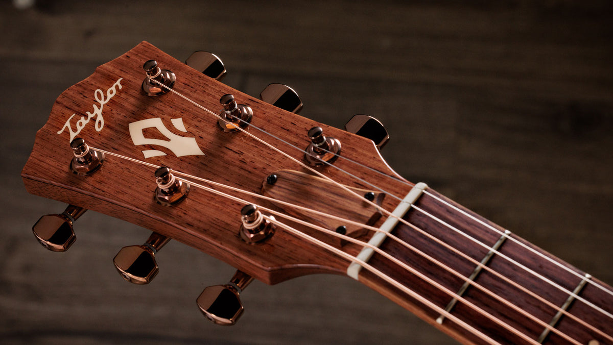 Gold Label Signature Ben Harper 512e Tavola Shaded Edgeburst