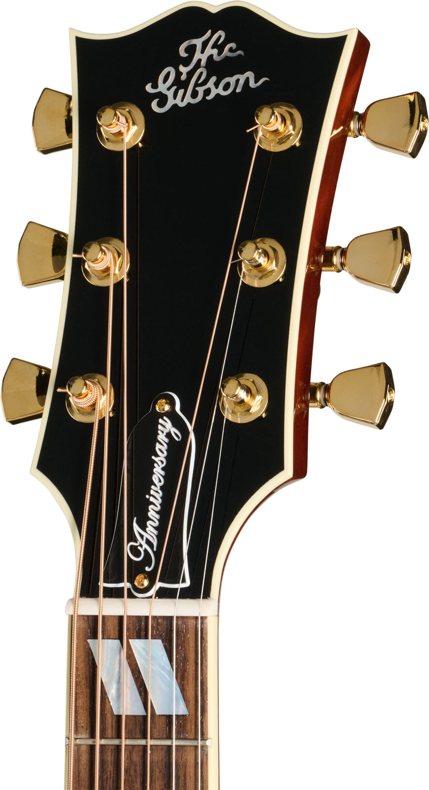 Dove Anni. Edizione Limitata Cremona Burst Modern