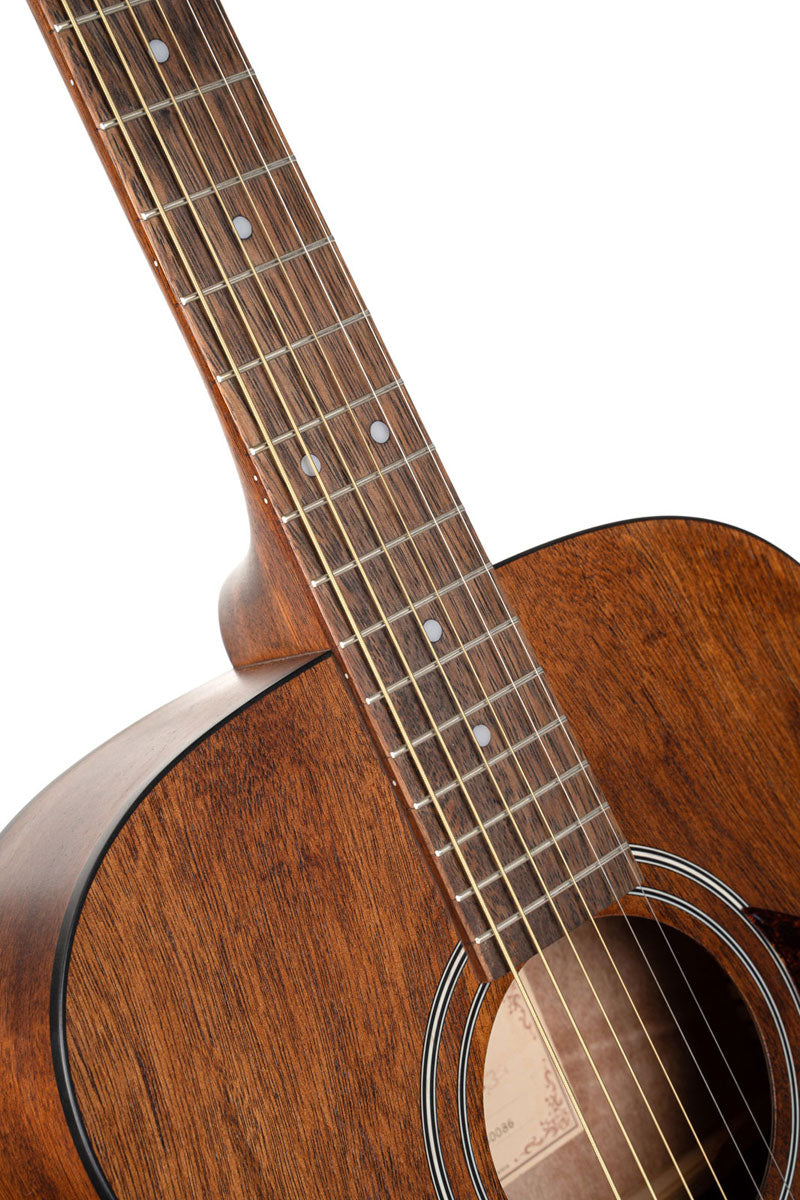 Chitarra Luce L60MF Naturale Fishman