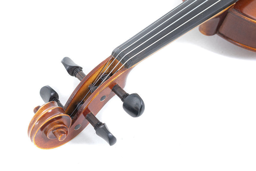 ALTO ALLEGRO-VA1 38.2 CM (4/4 VIOLA) PREPARED FOR PLAYING PROFILED CASE MASSARANDUBA BOW ALPHAYUE