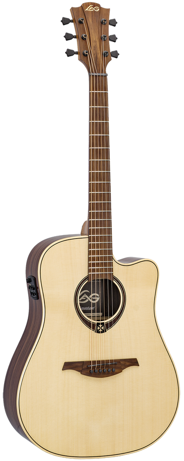 Tramontane 218 Dreadnought Elettro Cutaway