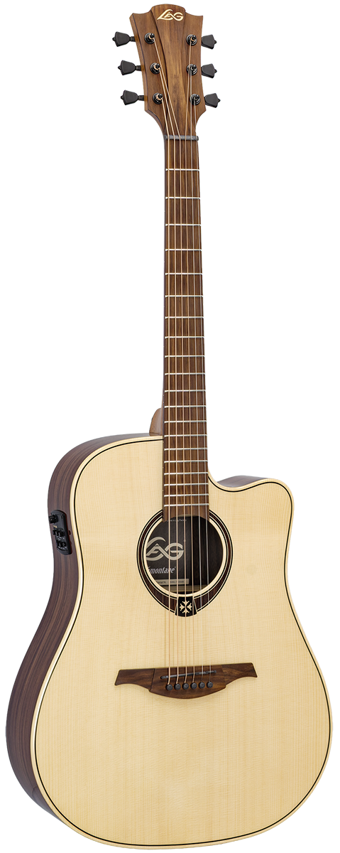 Tramontane 218 Dreadnought Elettro Cutaway