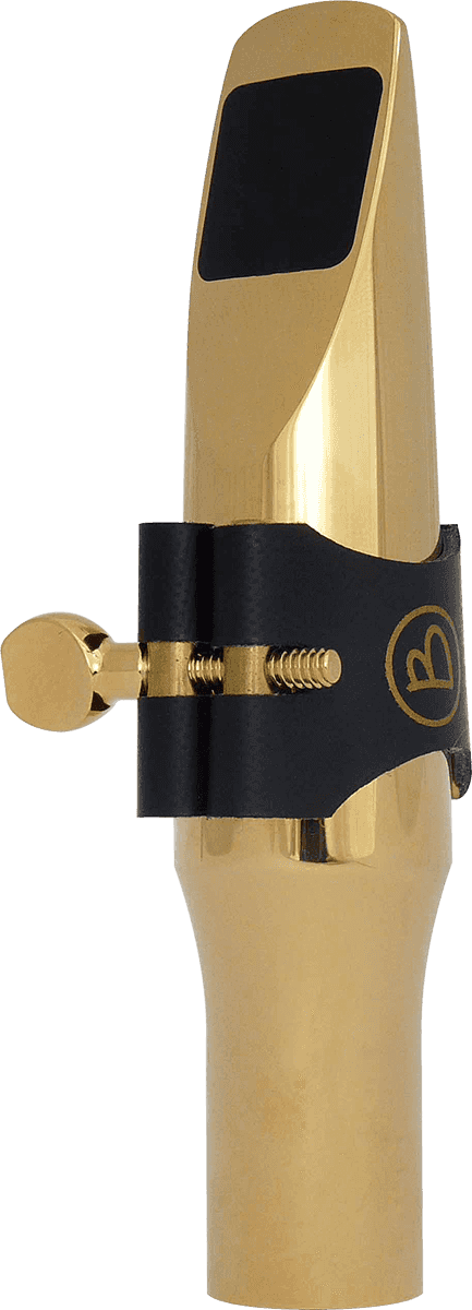 Bocchino in Metallo E31TG - Tenore