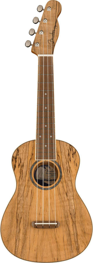Zuma Uke Esotico Concerto Wn Spalted Maple