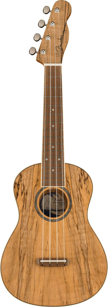 Zuma Uke Esotico Concerto Wn Spalted Maple