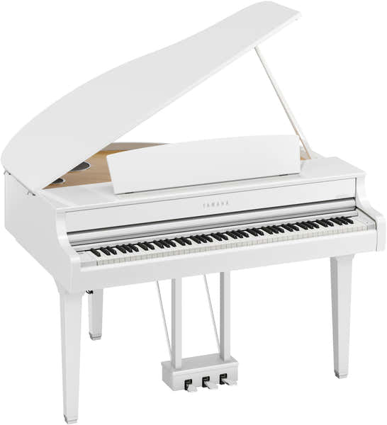 CLP895GP Bianco
