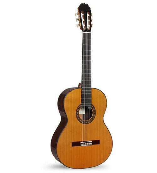 Professional Luthier Moncabrer Nitro + 9650 Bam Iconic Case