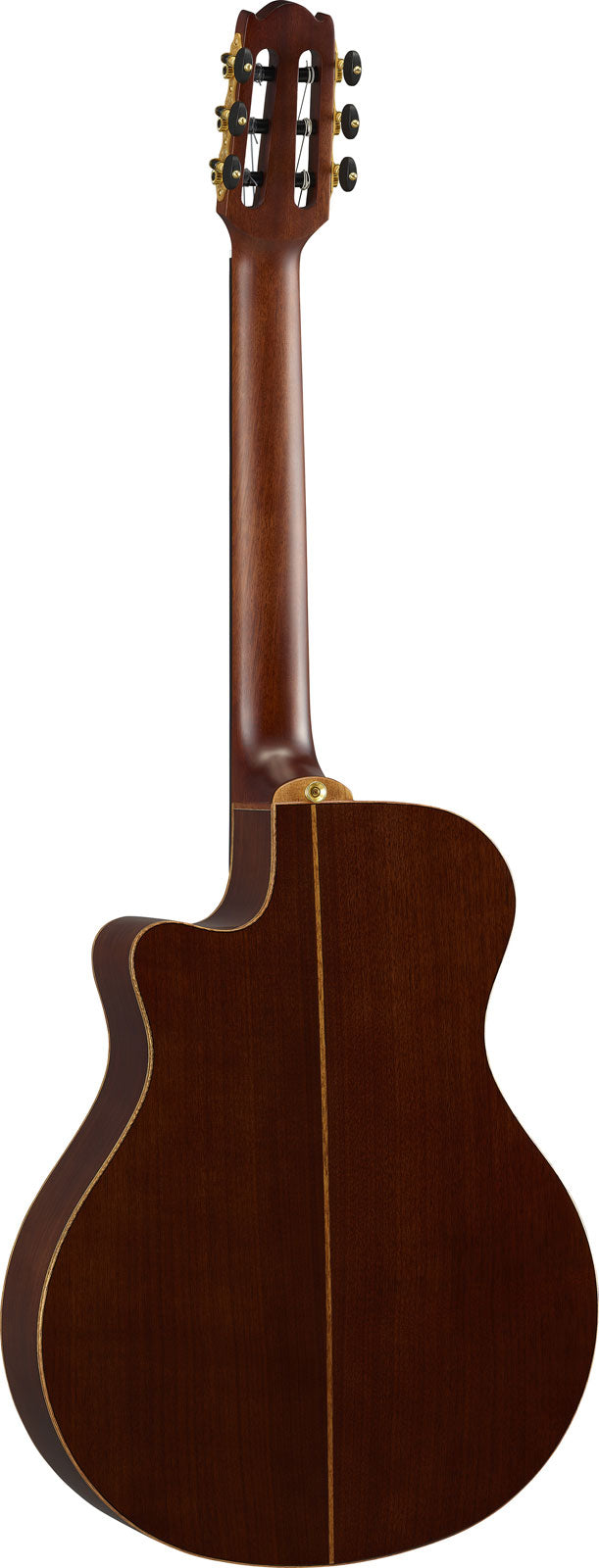 Ntx3 Sunburst marrone
