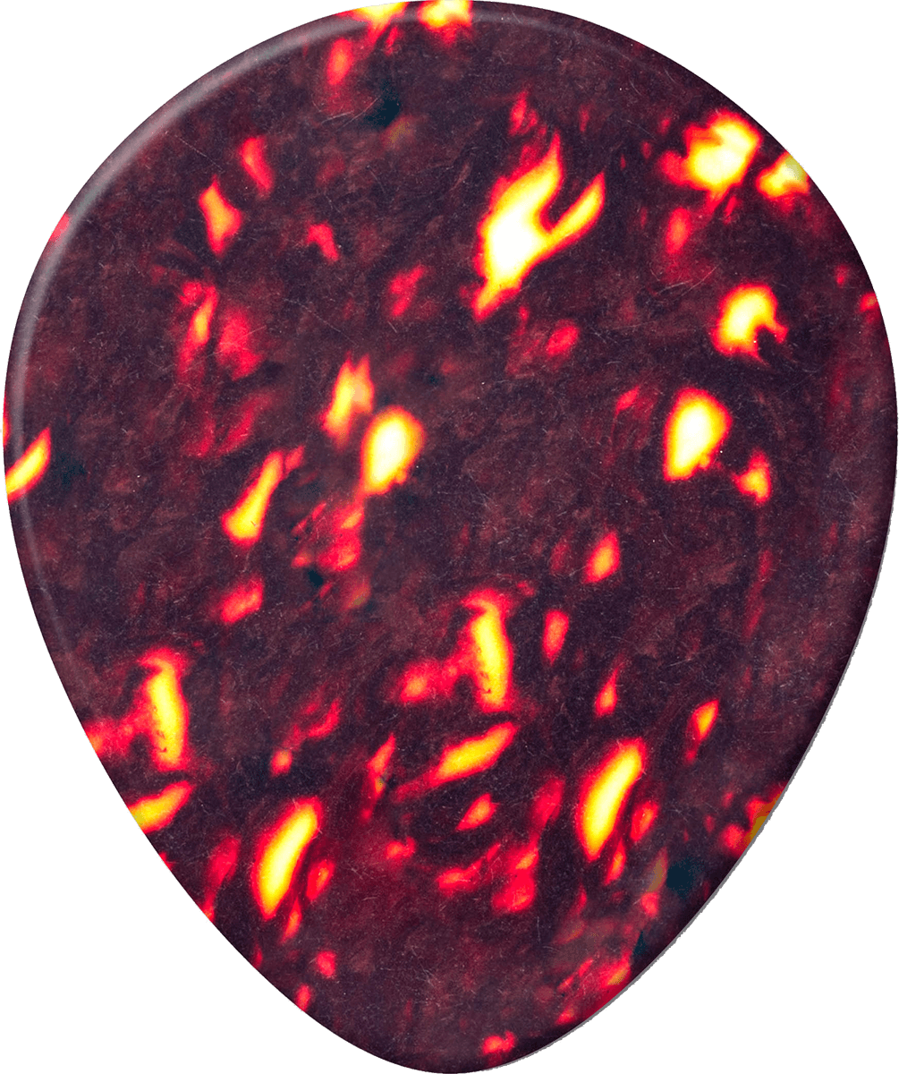 12 x Conchiglia Teardrop Spesso