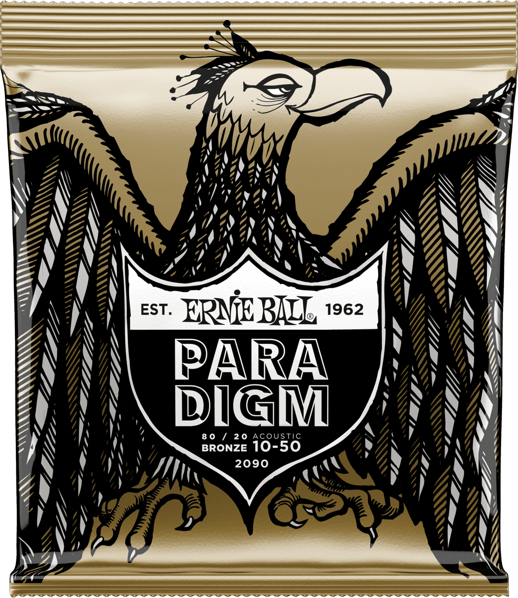 PARADIGM EXTRA LIGHT 80/20 BRONZE