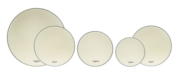 10-12-14 + Rullante 14 + Cassa 20 Alverstone Pack Fusion Rivestito