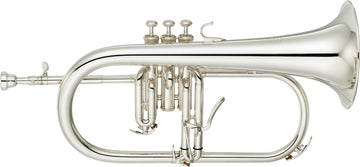 YFH8315GS Custom Sib Argentato