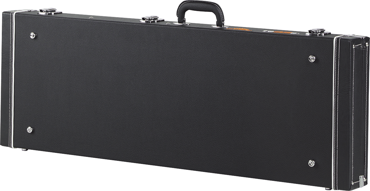 Custodia Standard Elettrica - AE3