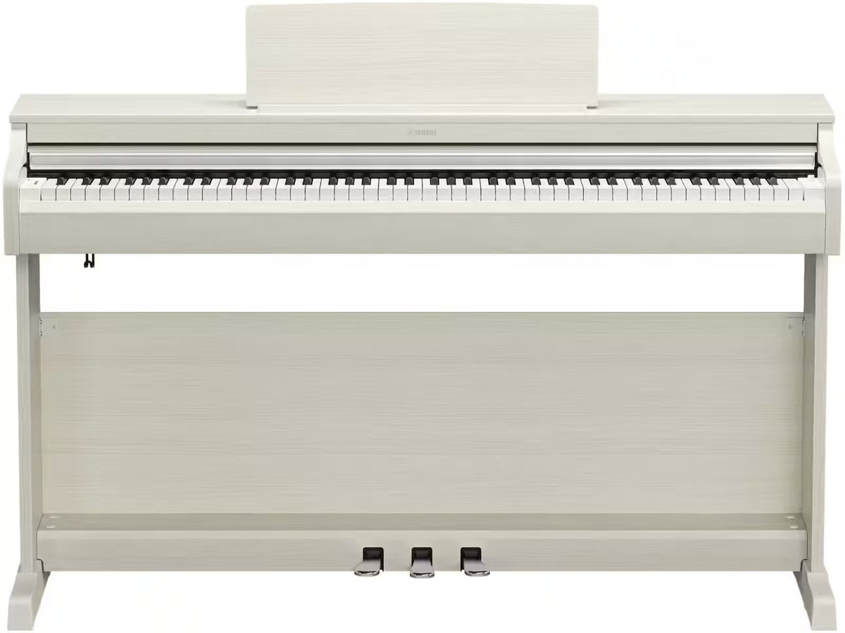 YDP-166 White Birch