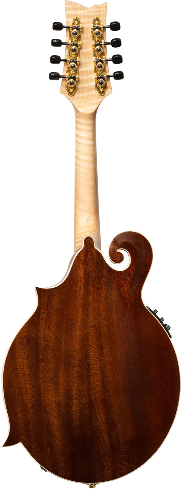 Americana Mandolino F-Style + Custodia in pelle Croco