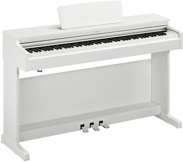 Arius YDP-165 Bianco