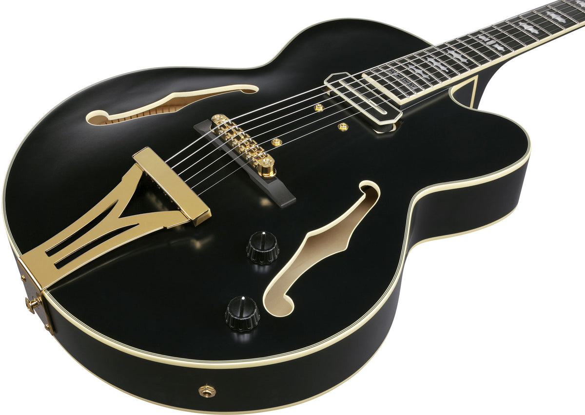 PM3C Signature Pat Metheny Nero Poco Lucido