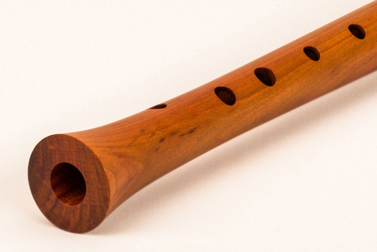 Kynseker Contralto Sol 428 - Pruno (Diteggiatura Barocca)