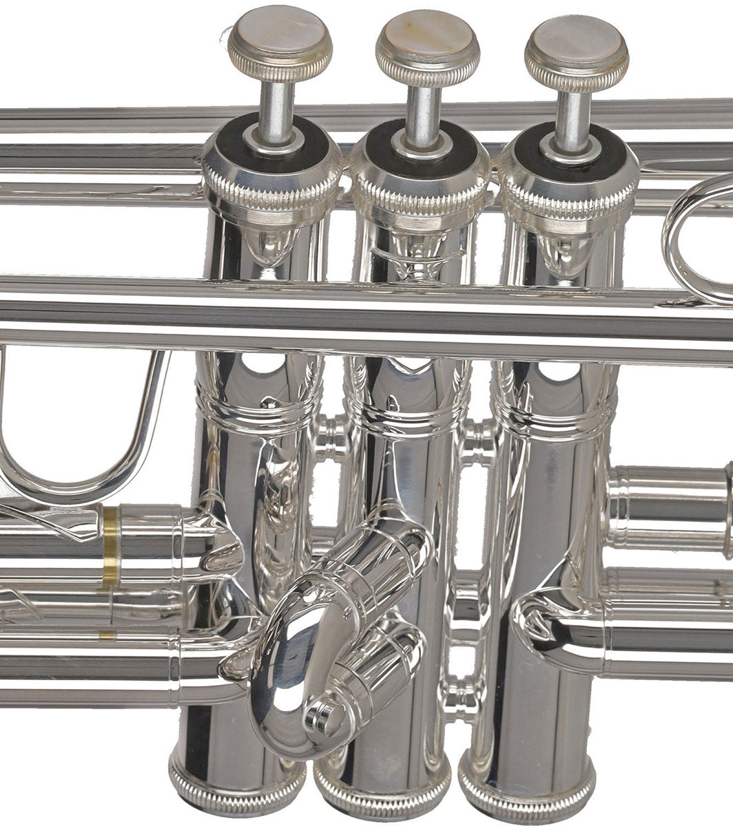 Ambition TR650S Sib Argentata