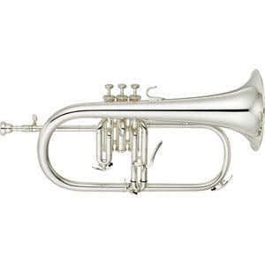 YFH8310ZS Custom Z Sib Argentato