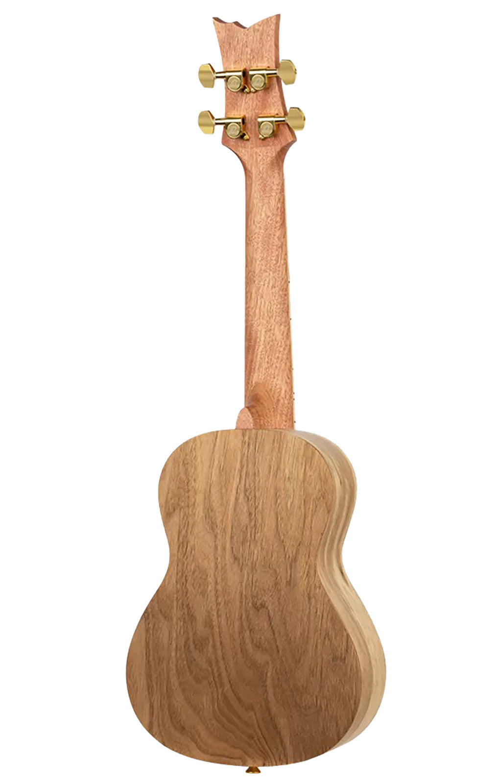 Ukulele Concert Serie Art Birds