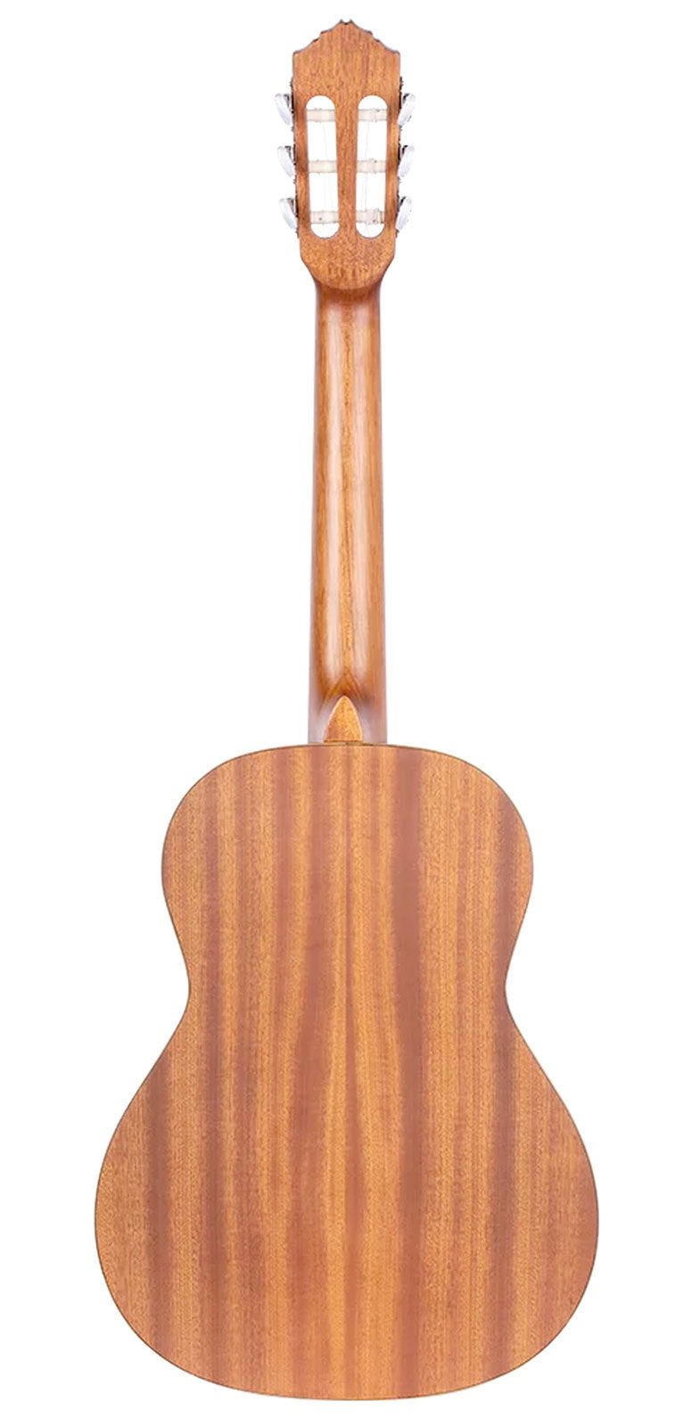Chitarra 3-4 R122 Cedro