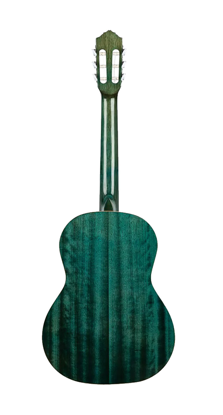 Chitarra R121 Abete Capotasto 48