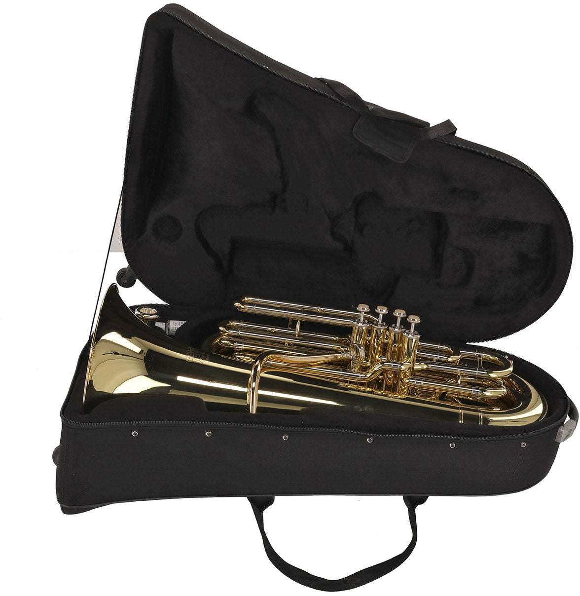 Ambition BB501B Contrabbasso Sib Verniciato
