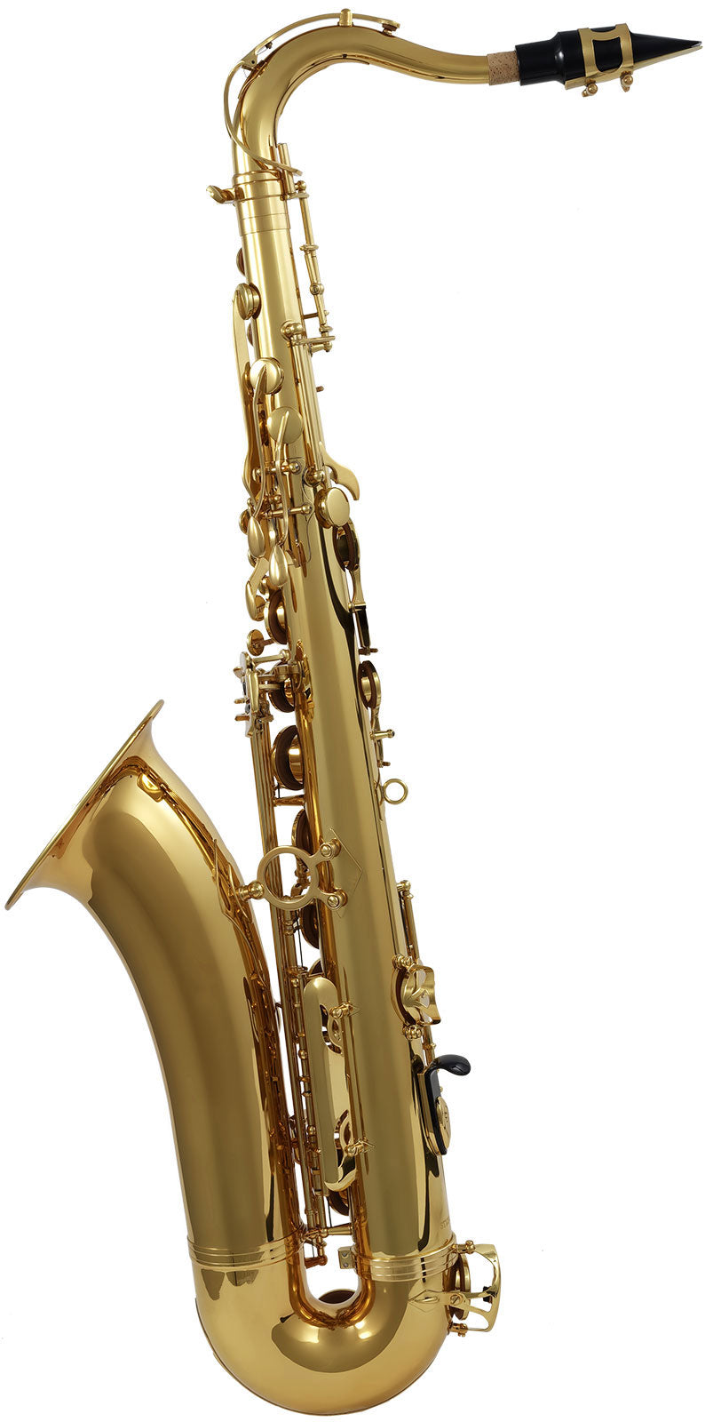 WST100 - Tenore Sib Verniciato