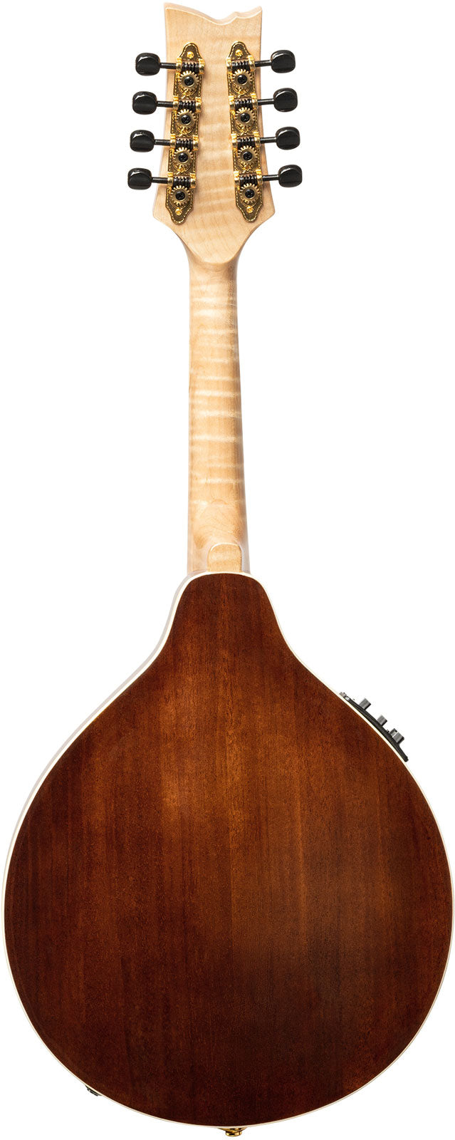 Americana Mandolino A-Style + custodia in pelle Croco