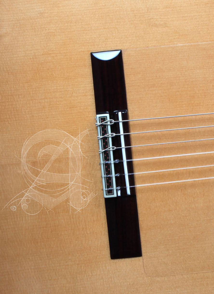 Concert 8Fc Flamenco + 9557 Case