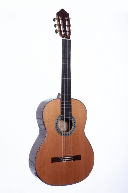 Conservatorio 1A EF Cedro Indiano Rsw