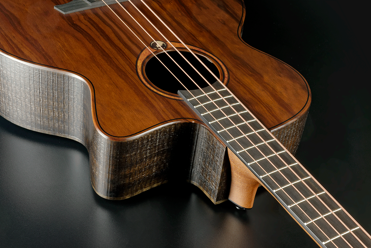 Sauvage Basso Elettroacustico Ctw