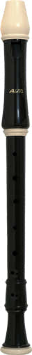 RECORDER 309A